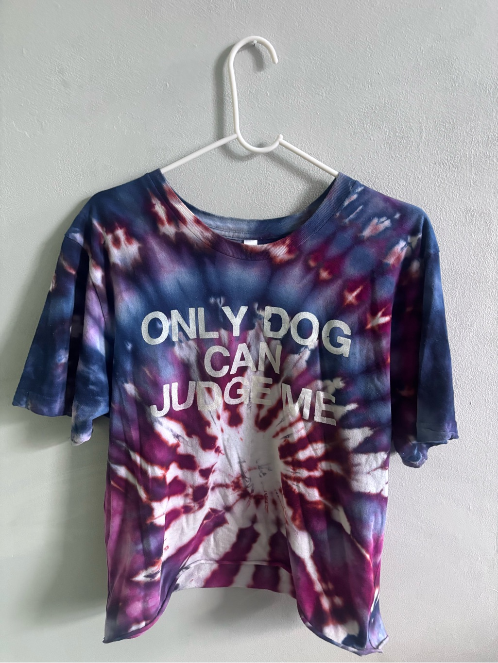 “Only Dog Can Judge Me” Tie-Dye Cropped Tee - Blue, Purple & Pink